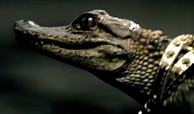 tumblr e4b155e43f0c6227e6bdb6a3b0fd8d9f 7d0ff943 1280 art scale 0 50x.png