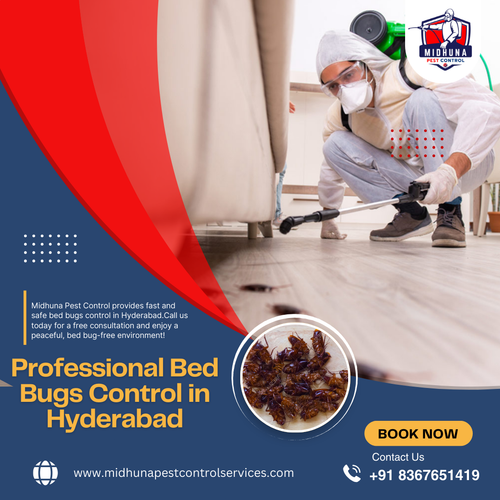 Need bed bugs control in Hyderabad?.png