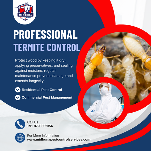 Need termite control in Hyderabad?.png
