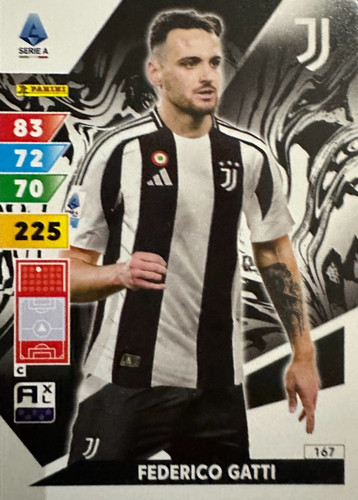 167.jpg