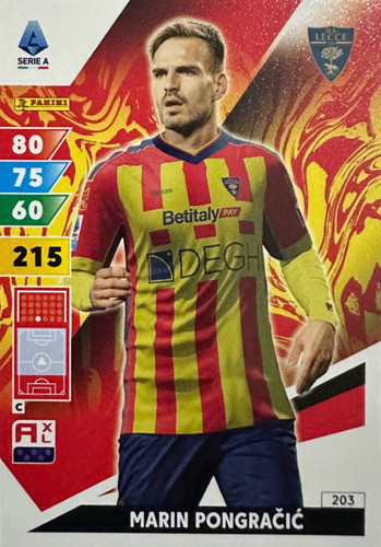 203.jpg