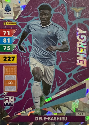 377.jpg