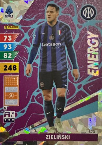 373.jpg