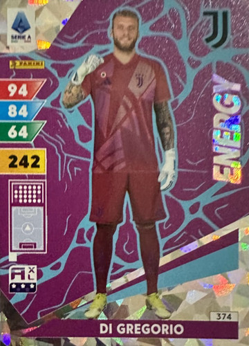 374.jpg