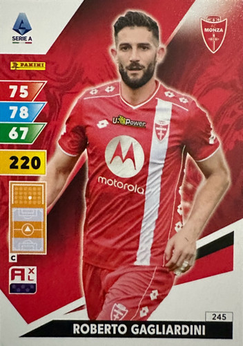 245.jpg