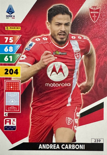 239.jpg