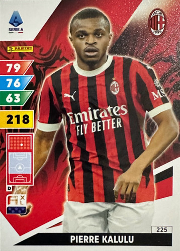 225.jpg