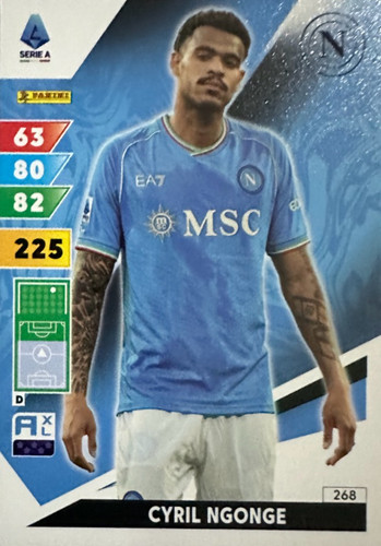 268.jpg
