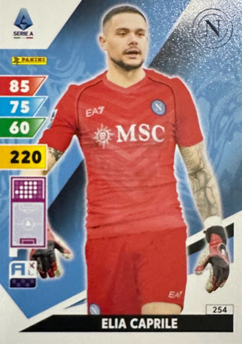 254.jpg