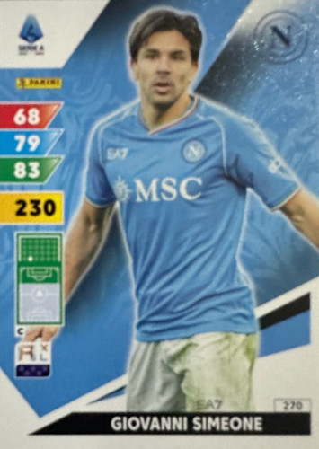 270.jpg