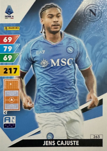 263.jpg