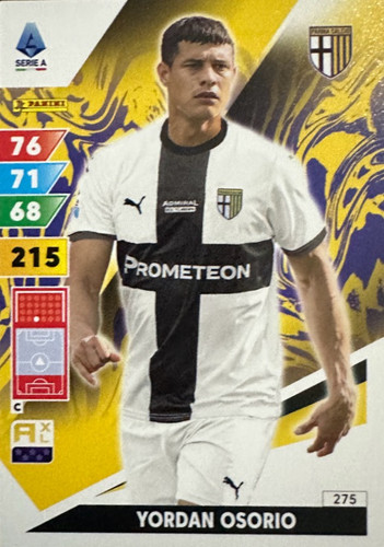 275.jpg