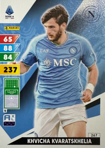 267.jpg
