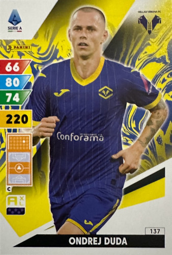 137.jpg