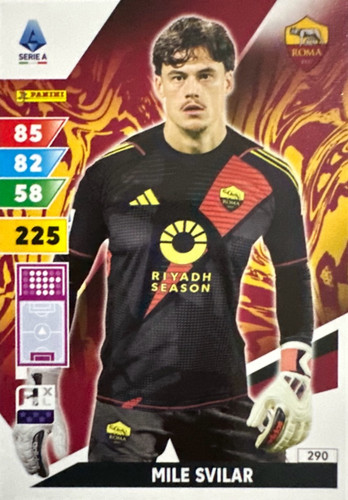 290.jpg