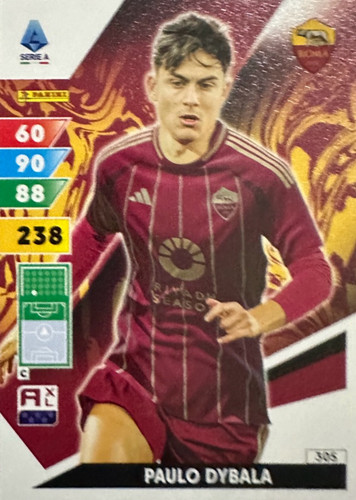 305.jpg