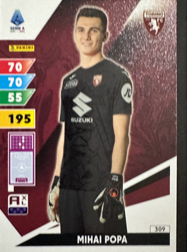 309.jpg