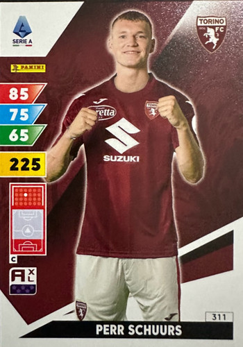 311.jpg