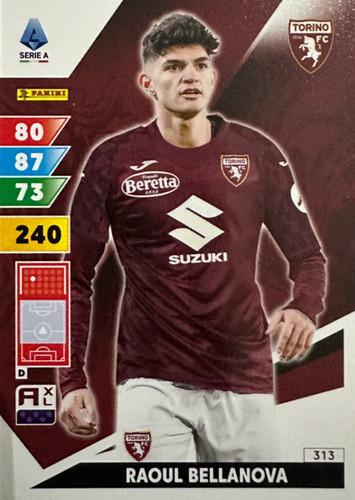 313.jpg