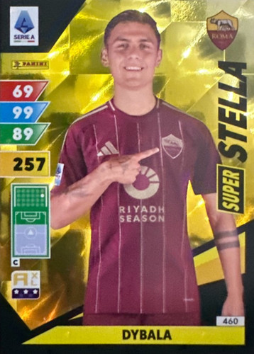 460.jpg