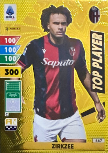 467.jpg