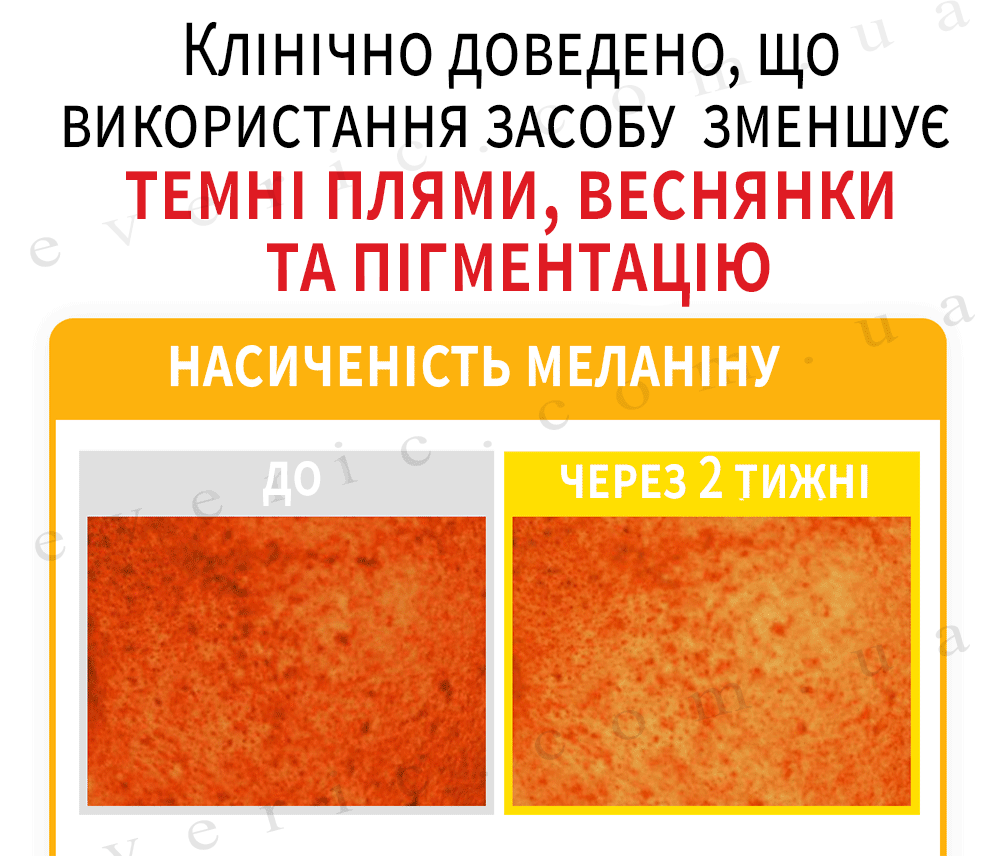 03 01 копия