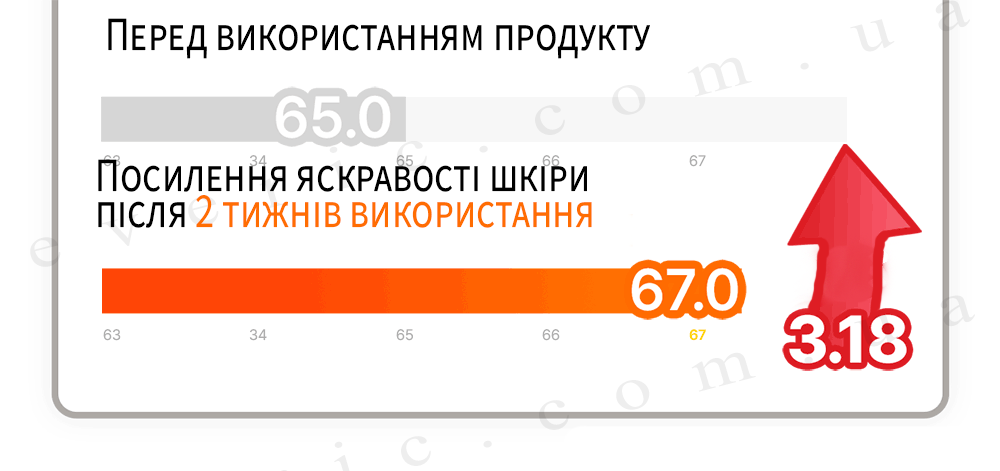 03 06 копия