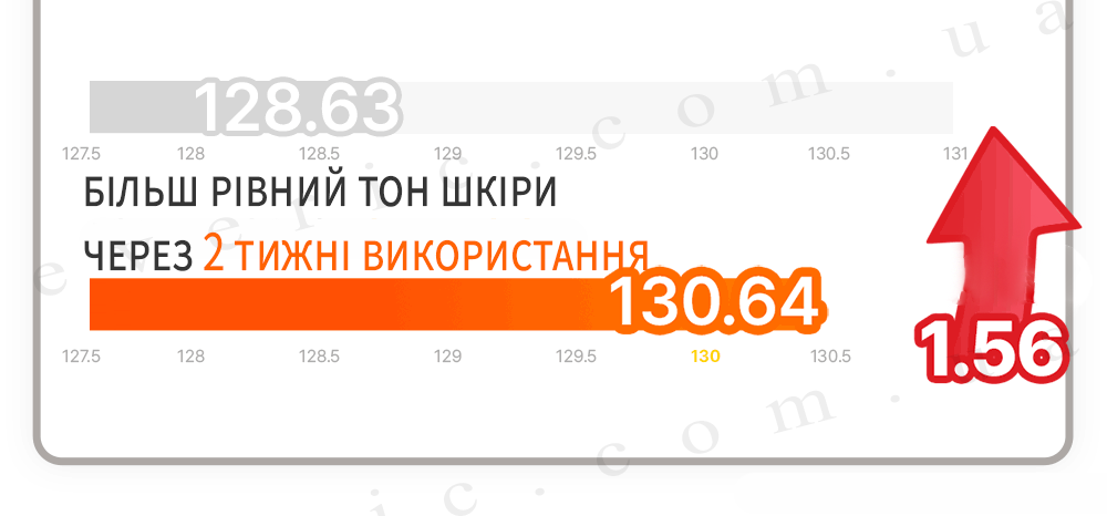 03 08 копия