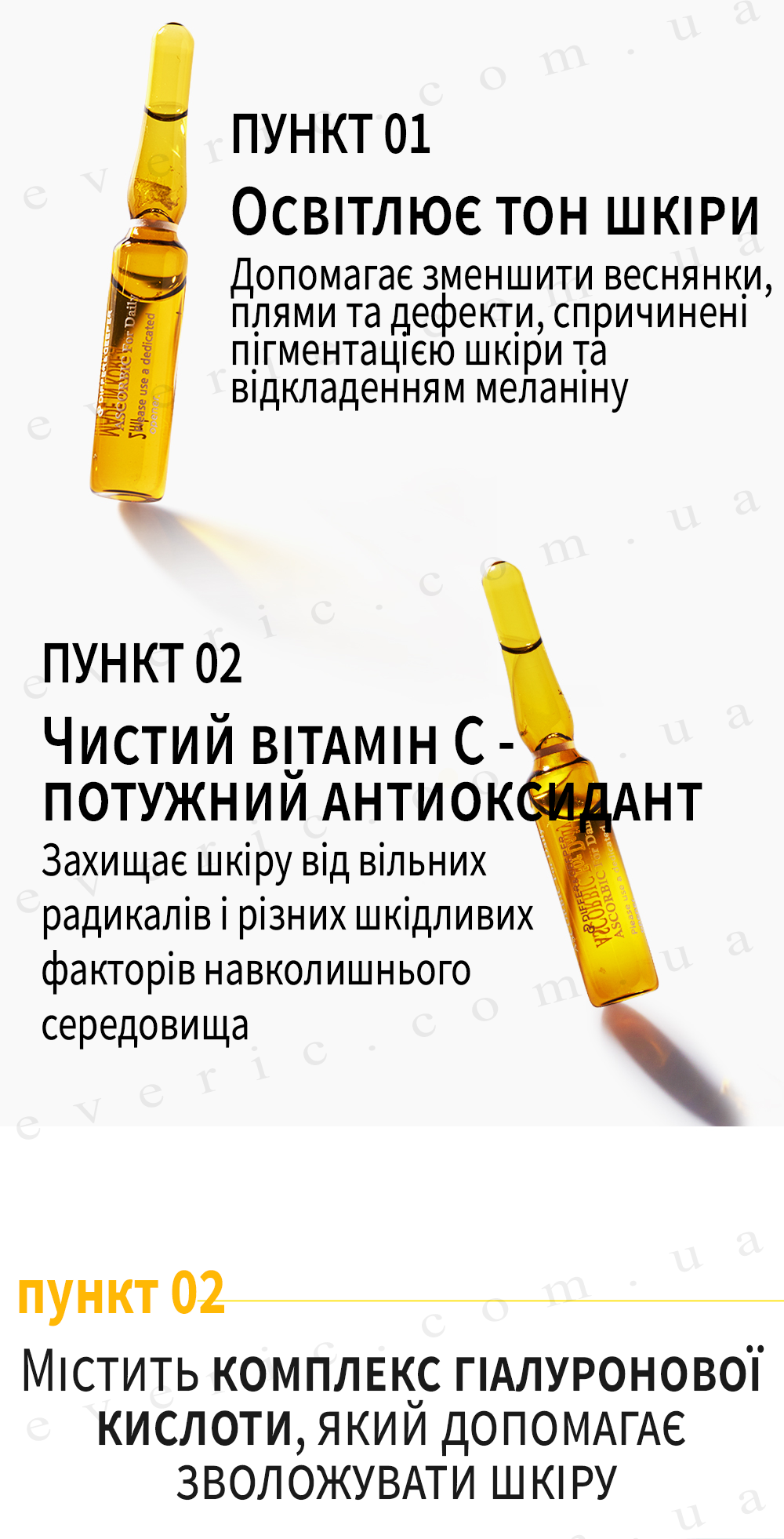 12 копия