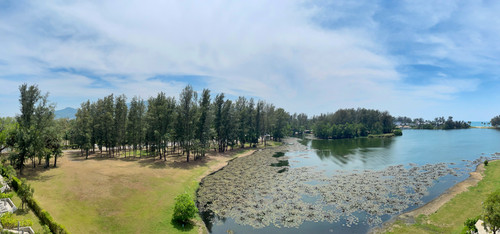 08e5731a 3a80 45d2 9dc0 ef9343c4a71c.jpg