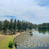 08e5731a 3a80 45d2 9dc0 ef9343c4a71c