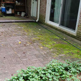 dietreu2401