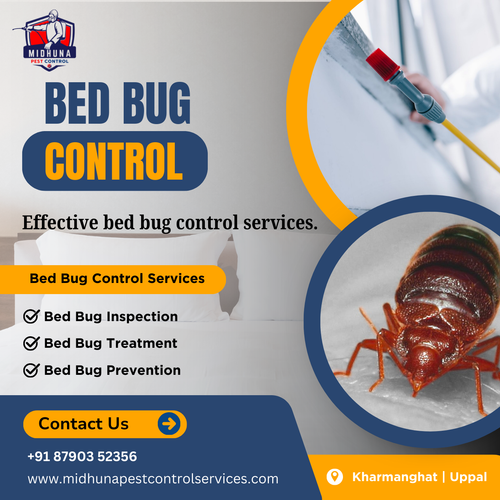 Looking for bed bug control services in Hyderabad?.png