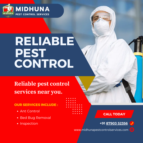 Looking for expert pest control in Uppal?.png