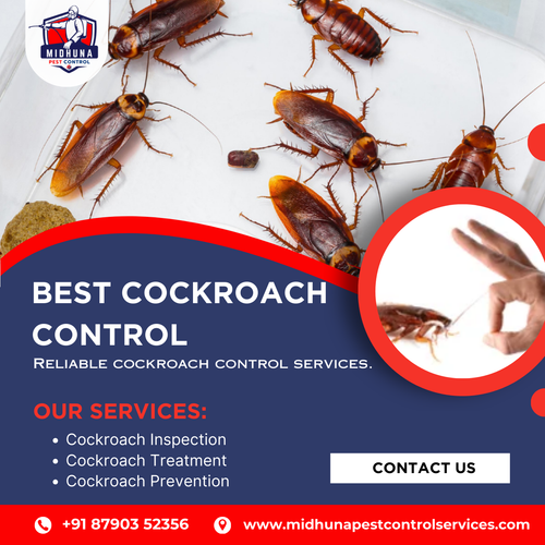 Looking for cockroach control in Uppal?.png