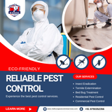 Need expert pest control in Hyderabad?