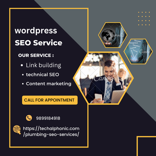 wordpress seo services.png