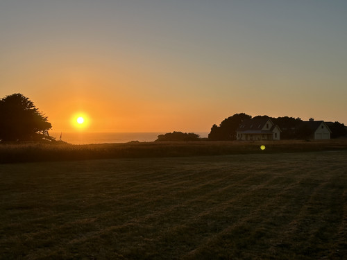 IMG 0728.jpg