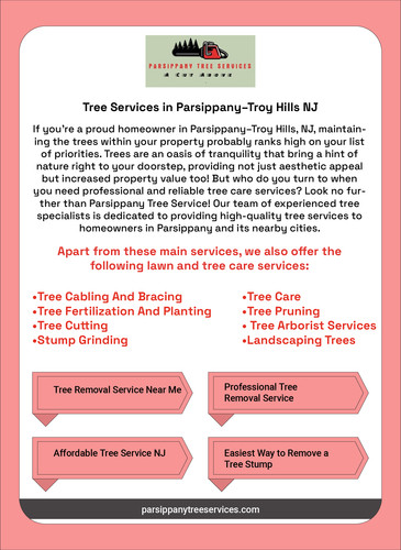 Affordable Tree Service NJ.jpg