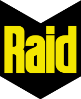 Raid 1991.png