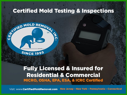Mold Inspector.jpg