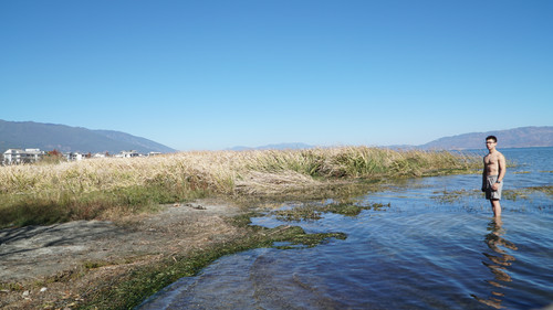 DSC02962.jpg