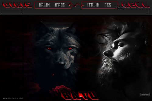 Bay Radyo Tema 252 BATU