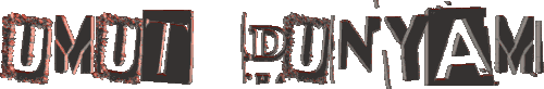 11.gif