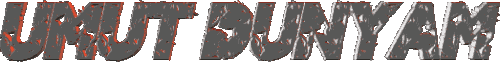 17.gif
