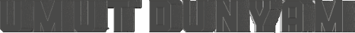 13.gif