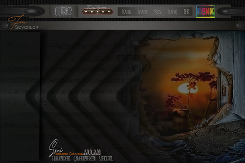 seni karşıma çıkaran çiçekli tema.jpg