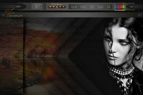 seni karşıma çıkaran sade bayan tema.jpg