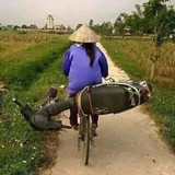 453197750 374549202333387 176655008337839275 n