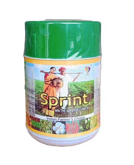 sprint